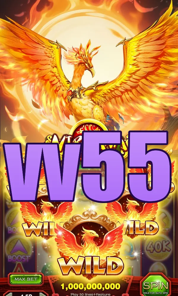 vv55 APK